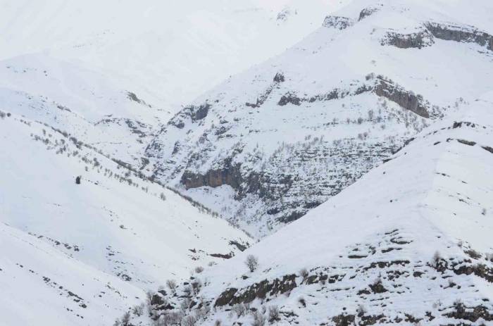 Şırnak’ta Kar Altında Kalan Tanin Tanin Dağları Havadan Görüntülendi