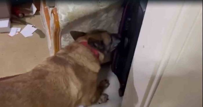 Uyuşturucu Operasyonunda 2 Kilo 510 Gram Esrar Ele Geçirildi