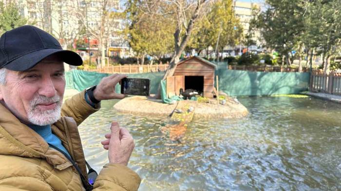 Kuğulu Park’ın Yeni Dünyaya Gelen Yavru Siyah Kuğularına Yoğun İlgi