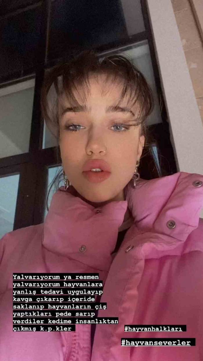 Sosyal Medya Fenomeninin Veterinerde Kedisi Öldü, Sinir Krizi Geçirdi