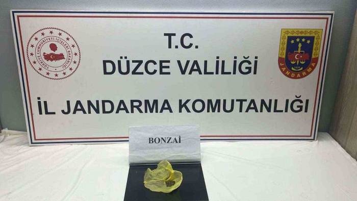 Düzce’de Jandarma Suçlulara Göz Açtırmıyor