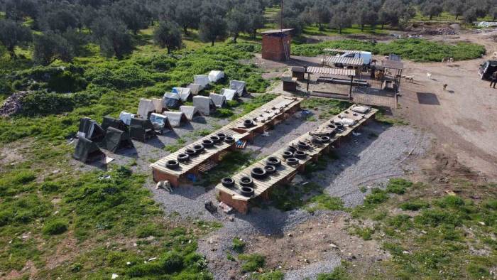 "Sokak Köpeklerinin Maması Çalınmasın" Diye Kamera Koydular