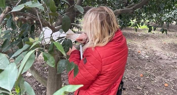 Söke’de Araziler Denetlendi