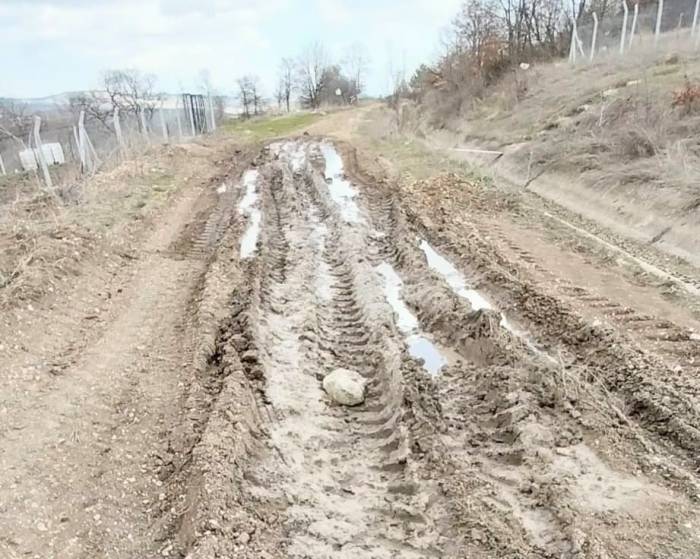 Lavanta Üreticisi Bozuk Olan Yolun Yapılmasını İstiyor