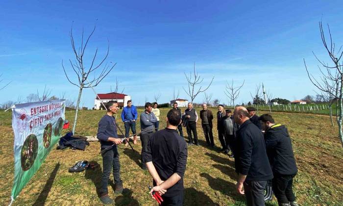 Meyvecilikte Budamanın Önemi Ve Budama Sonrası Dikkat Edilecek Hususlar