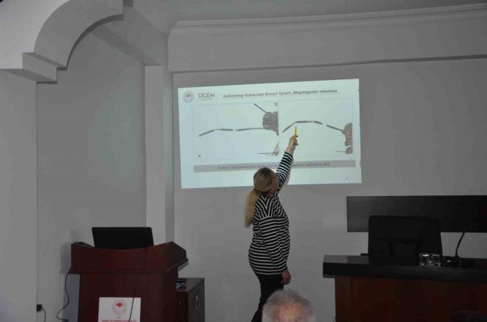 Kahverengi Kokarca İle Mücadele Yılı