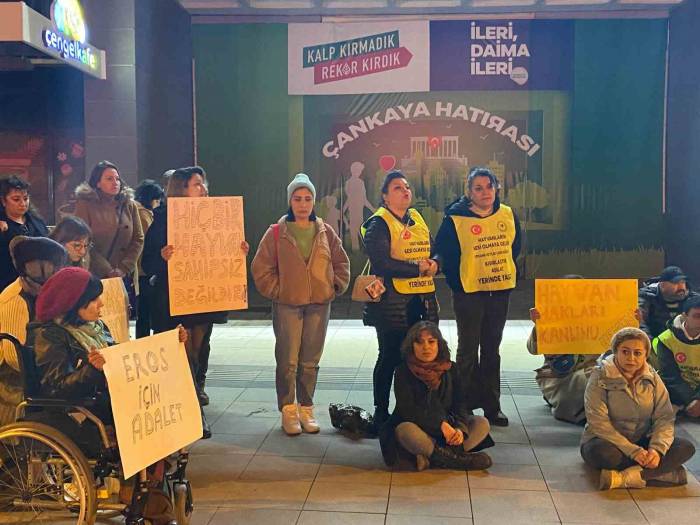 ’eros’ İsimli Kediyle İlgili Davadan Çıkan Karara Tepki