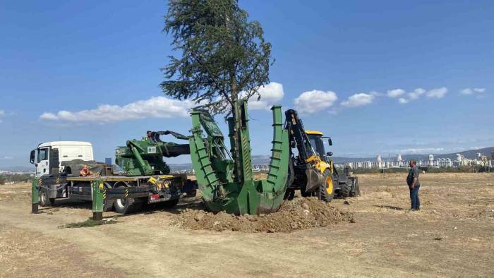 Başkan Aktaş’tan Hamitler’e Botanik Parkı Müjdesi