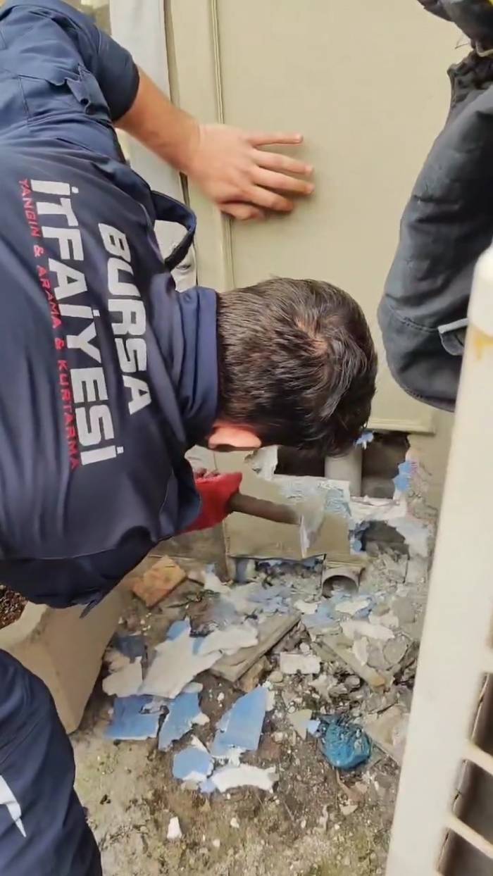 İtfaiye Ekipleri Sıkışan Yavru Kediyi Böyle Kurtardı