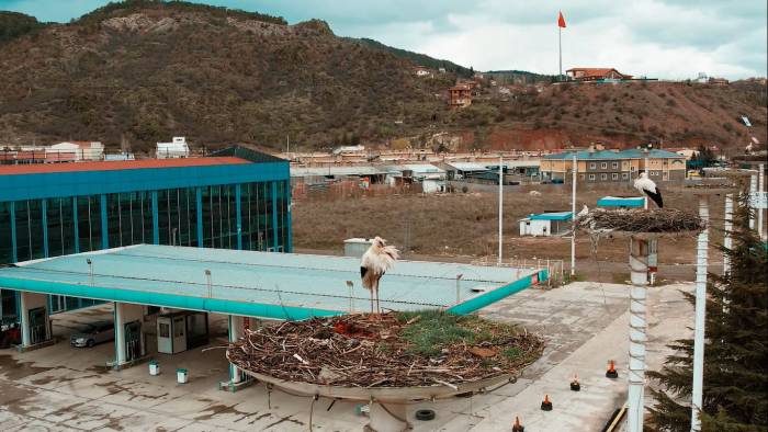 “Leylek Apartmanı” Sakinleri Yuvaya Erken Döndü