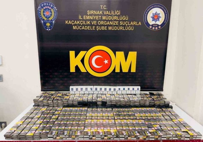 Şırnak’ta Asayiş Ve Kaçakçılık Operasyonu: 31 Gözaltı