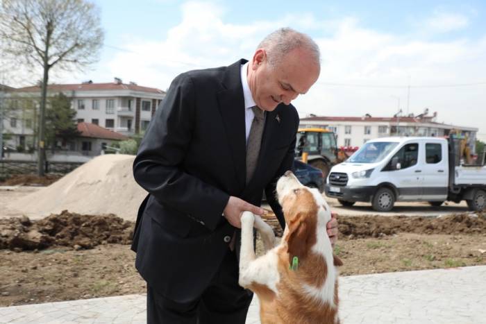 Sokaklarda Saldırgan Köpek Kalmayacak