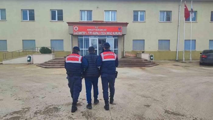 Çaldığı Küçükbaş Hayvanları Satan Şüpheli Tutuklandı