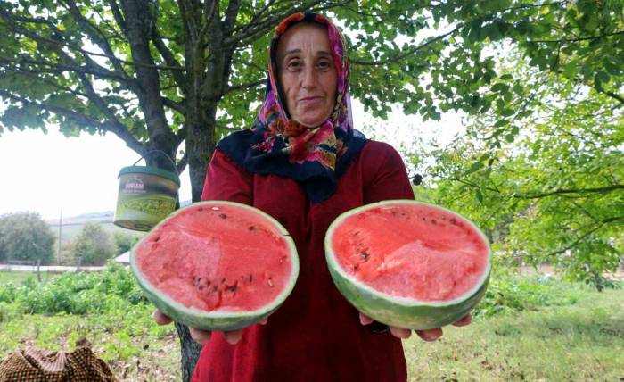 Üreticilere Karpuz Tohumu Desteği