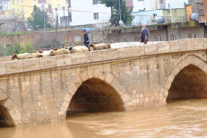 Mardin’de Yağışla Birlikte Tarihi Dunaysır Köprüsü’nün Debisi Yükseldi