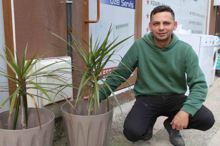 Esnafın Çağrısını Duyan Hırsız, Çaldığı Süs Bitkisini Geri Getirdi