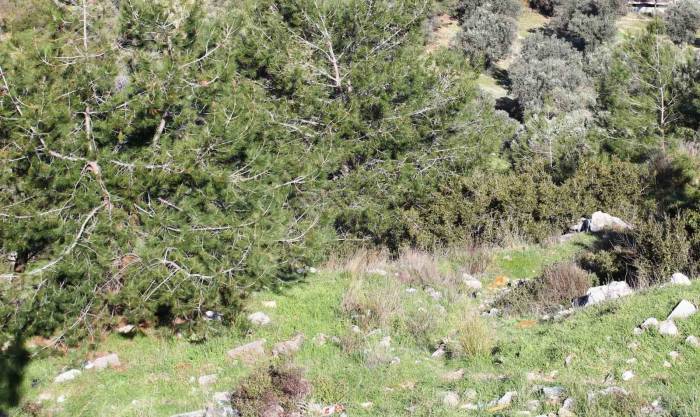 Kayıp İşçinin Arandığı Bölgede İnsan Kemikleri Bulundu