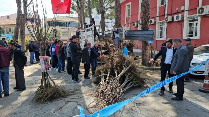 Gal Arısı Zararlısına Karşı Geliştirilen Kestane Fidanları Üreticiye Dağıtıldı