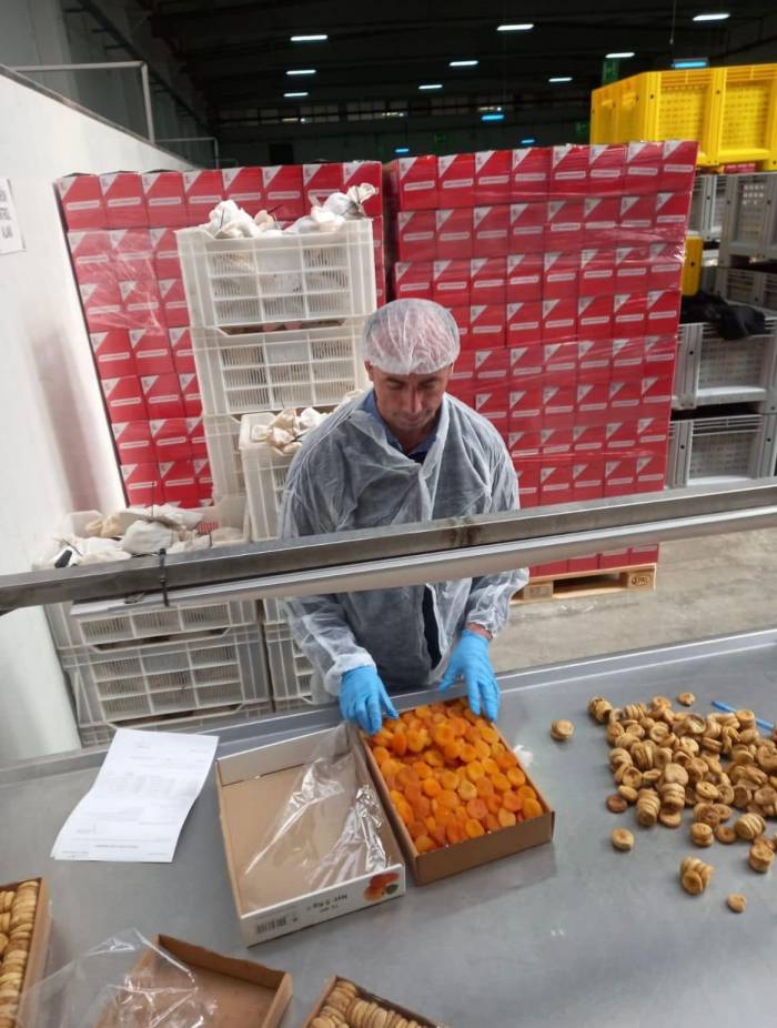 Nazilli’de 19 Bin 472 Ton Tarımsal Ürünün İhracat Kontrolü Yapıldı