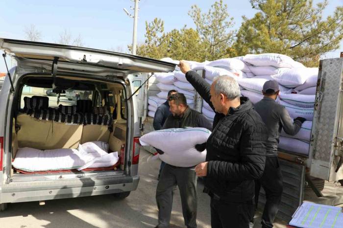 Seyitgazi Bu Sene Yerli Azkan Nohut Tohumu Ekecek