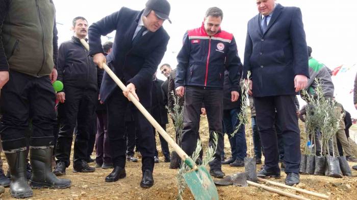 Dünya Ormancılık Günü’nde Huzurevi Bahçesine 2 Bin Fidan Dikildi