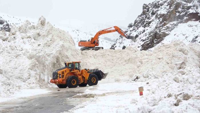 10 Ayrı Bölgeye Çığ Düştü: Ekipler Yol Açma Çalışmalarını Sürdürüyor