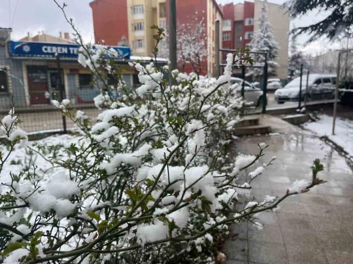 Eskişehir Kent Merkezinde Kar Yağışı Etkili Oldu