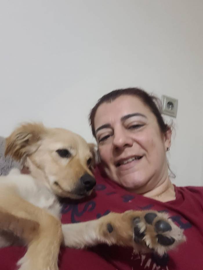 Aydın’daki Köpek Eğitmeni Mağdurlarının Sayısı Artmaya Başladı