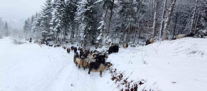 Sakarya’nın Yüksek Kesimleri Beyaz Gelinliğini Giydi