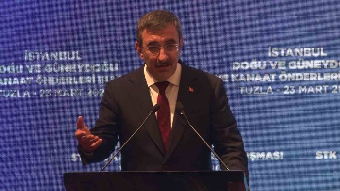 Cumhurbaşkanı Yardımcısı Yılmaz: "terör En Büyük Zararı Doğu’ya, Güneydoğu’ya, Orada Yaşayan Vatandaşlarımıza Verdi”