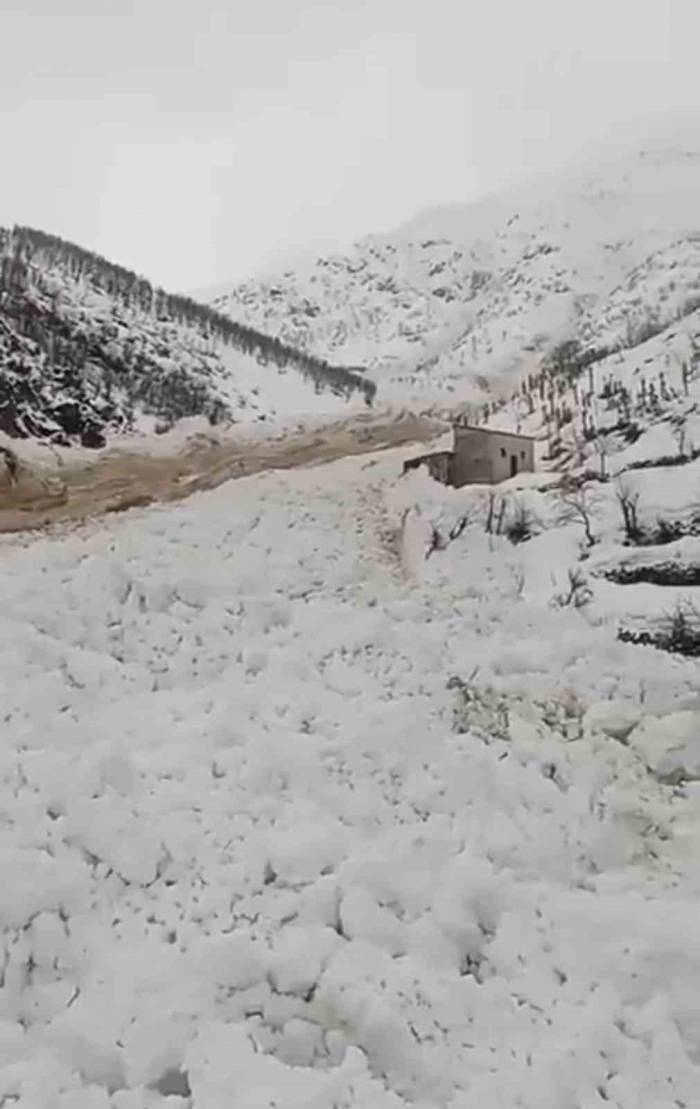 Yüksekova’da Çığ Düştü, Köyün Şehirle Ulaşımı Kesildi