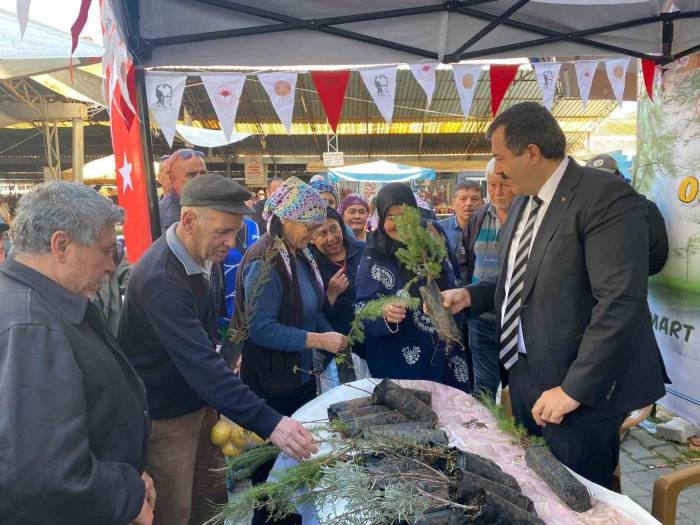 Dalaman’da Vatandaşlara 3 Bin Adet Fidan Dağıtıldı