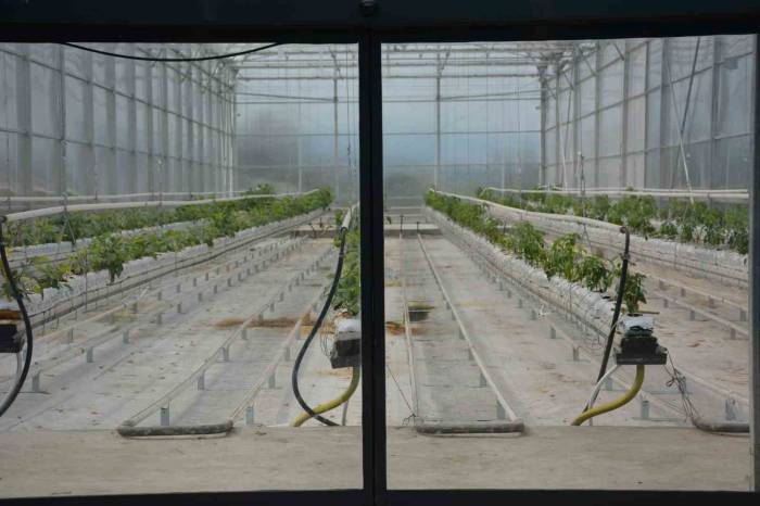 Başkan Atlı; "Tekstil Ve Tarımda Yapay Zekayı Kullanacağız"