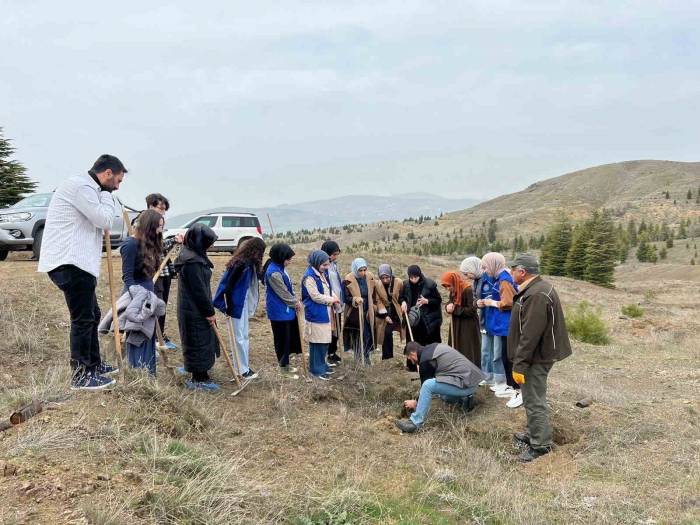 Elazığ’da Öğrenciler Fidan Dikim Etkinliğinde Buluştu