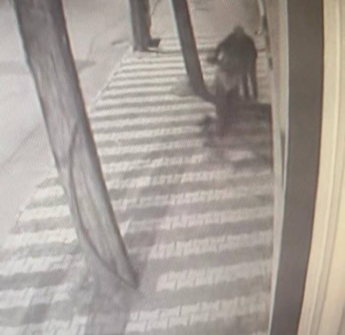 Motosiklet Hırsızlığı Yapan Şahıs Güvenlik Kameralarına Yansıdı