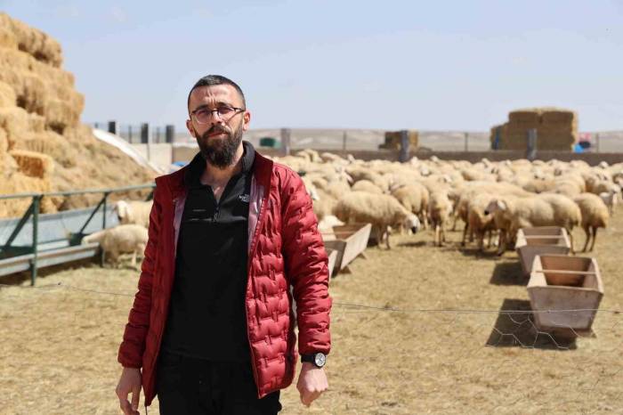 42 Bin Lira Maaş, Sigorta, Dayalı Döşeli Ev Ve Karavana Rağmen Çoban Bulunamıyor