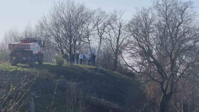 Sinop’ta Orman Yangını