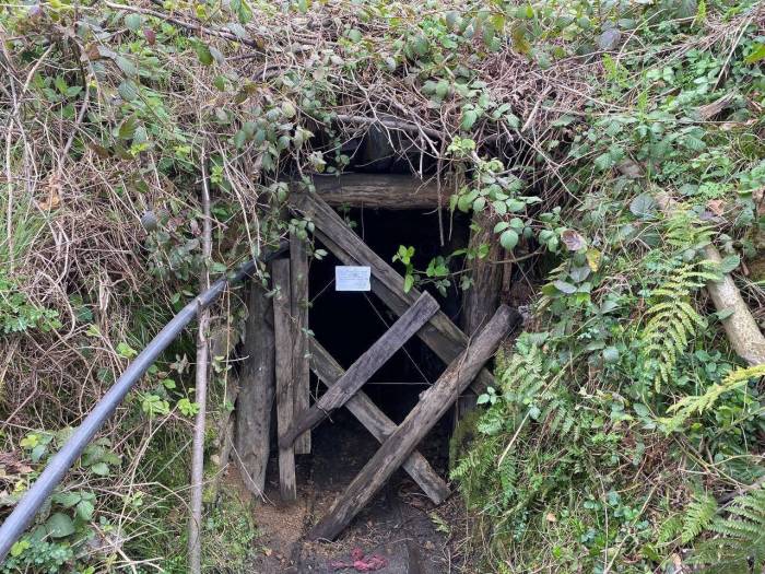 Zonguldak’ta Hapis Cezası İle Aranan 20 Şüpheli Yakalandı