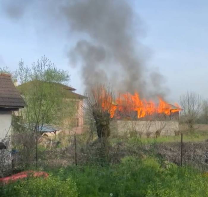 Düzce’de Ahır Ve Samanlık Yangını: 3 Hayvan Telef Oldu