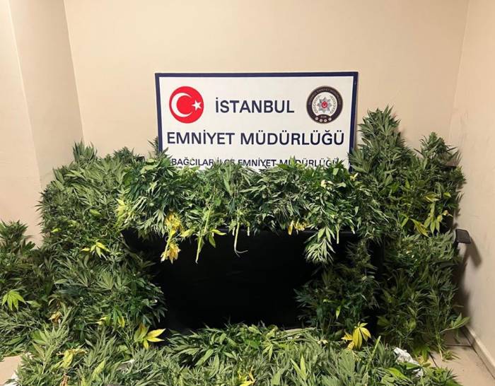 Villa Değil Uyuşturucu Serası