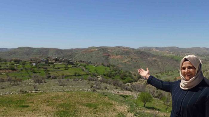 Gercüş’te Çekilen Filmden İlham Alıp Aday Olan Kadın, 1 Oy Farkla Kazandı