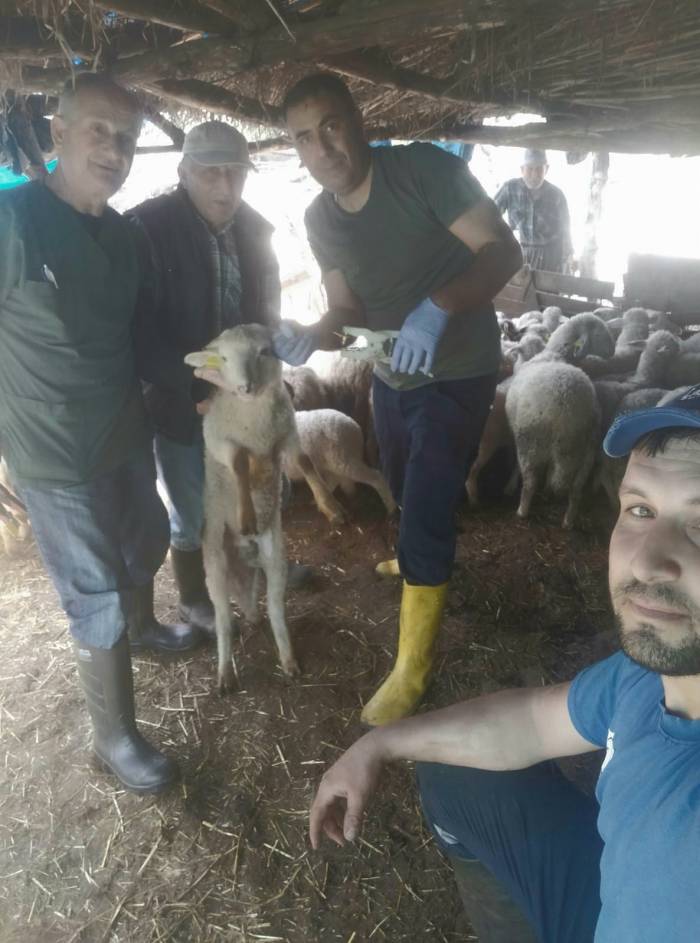 Efeler’de Küçükbaş Hayvanlar Aşılandı