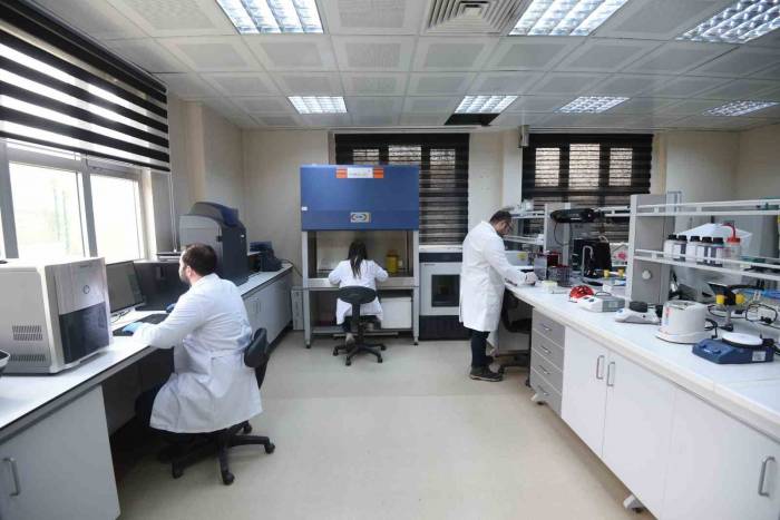 Araştırma İmkanı Sunuyor