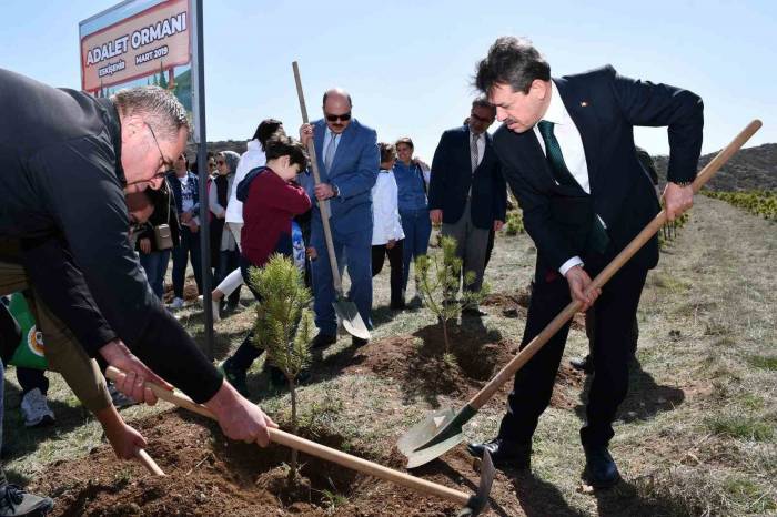 Adalet Ormanı Büyümeye Devam Ediyor