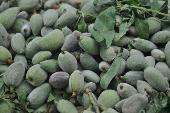 Badem Kilosu 200 Liradan Tezgahlarda