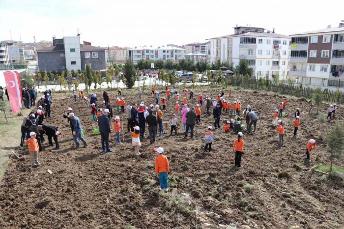 ’okuldaki Çiftlik Projesi’: Meyve Fidanları Okul Bahçesine Dikildi