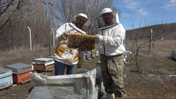 Her Şey Çocuklarına Organik Bal Yedirmek İsteyince Başladı