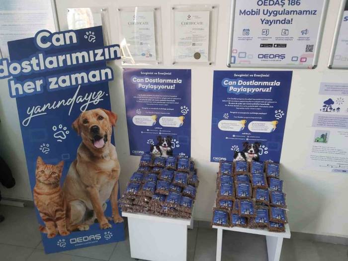 4 Nisan Dünya Sokak Hayvanları Günü Dolayısıyla Farkındalık Oluşturan Çalışmalar Yapıldı