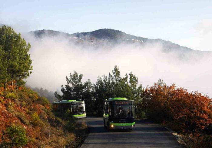 Sakarya’da Arefe Gününde Mezarlıklara Ulaşım Ücretsiz
