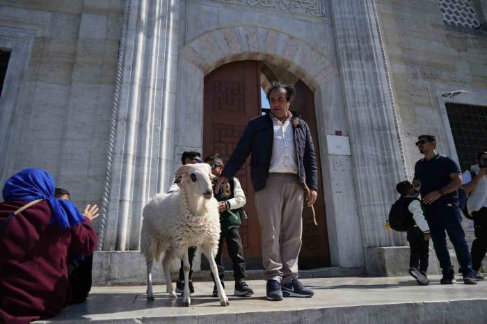 Eminönü’nde Yanında Gezdirdiği Koç İlgi Odağı Oldu